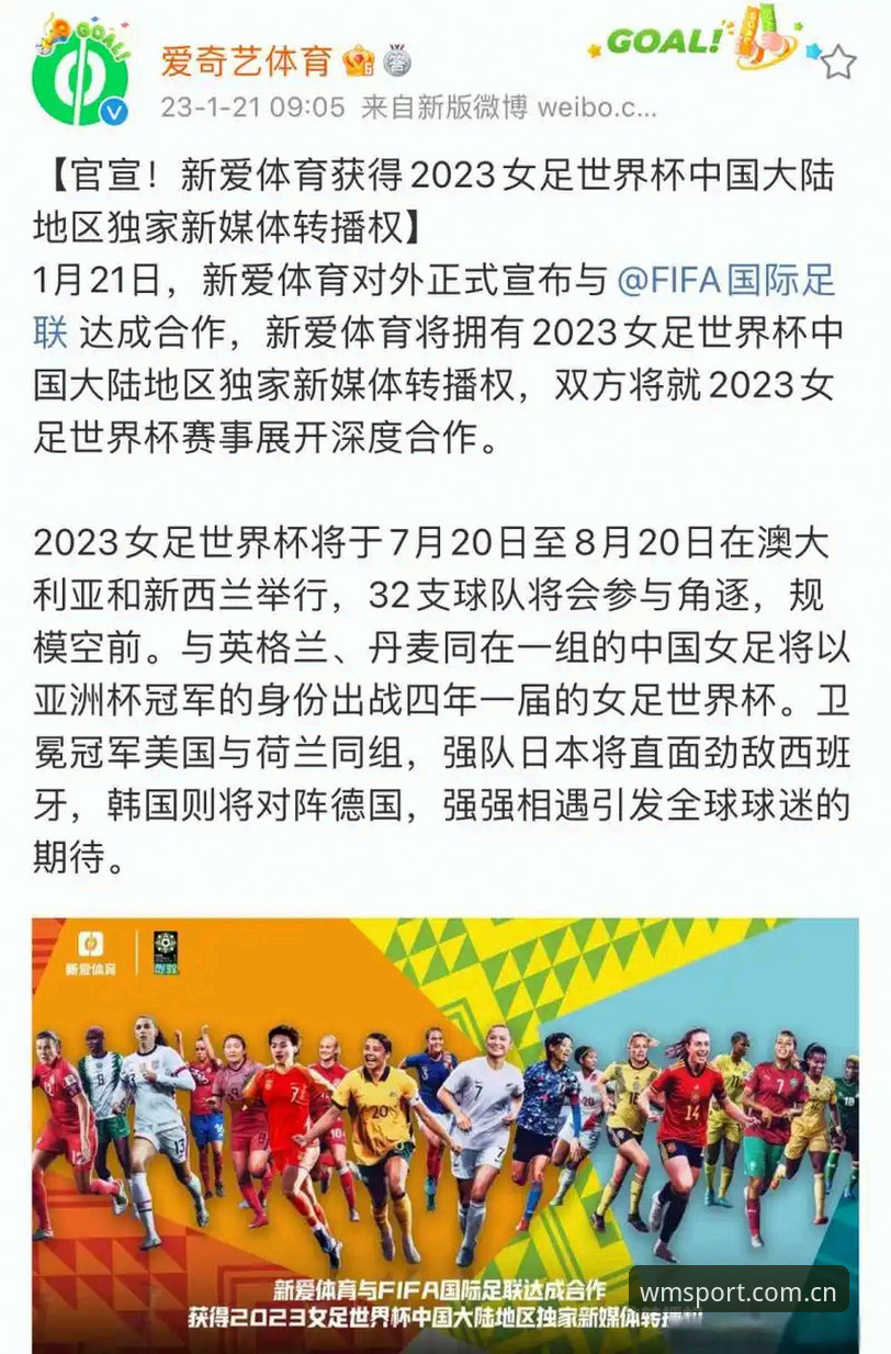 世界杯观赛签证危机：完美体育平台深度解析赴美观赛必备知识与应对策略